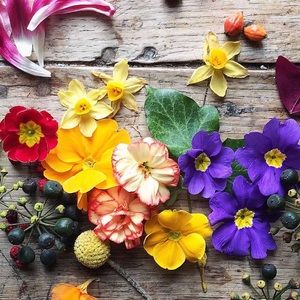 Meet your Posher, Marielle